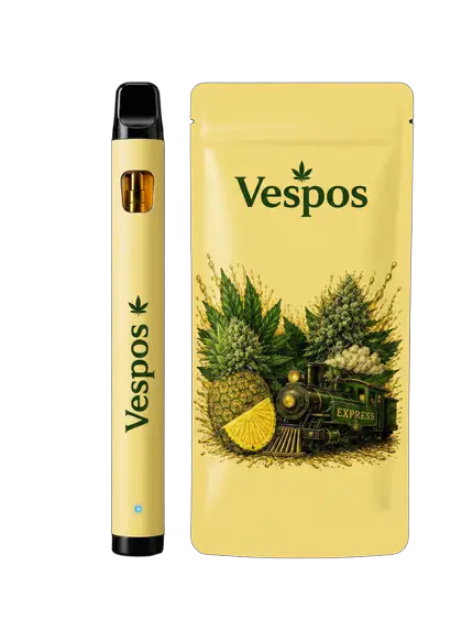 Vespos Solo Pineapple Express pen and pouch