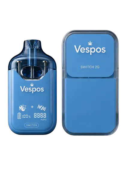 Vespos Switch 2G Beyond Blueberry and Fruit Stripes device with blister pack